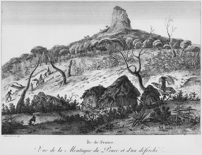 View of Pouce Mountain and forest clearing, Mauritius, illustration from 
